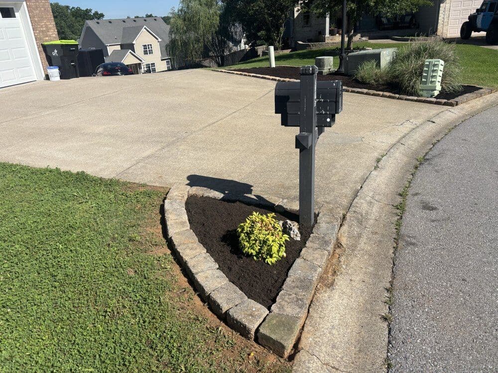 Flower bed redesign and clean up