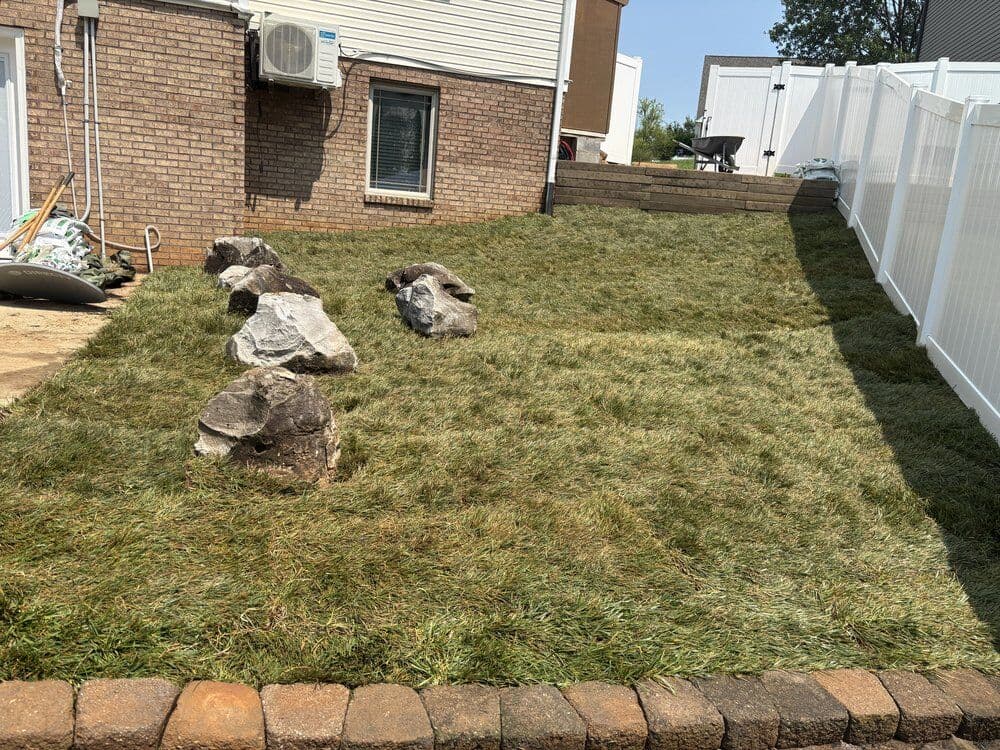 New sod install