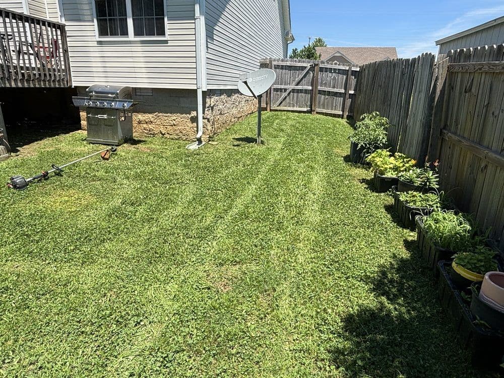 Backyard mowing and trimming