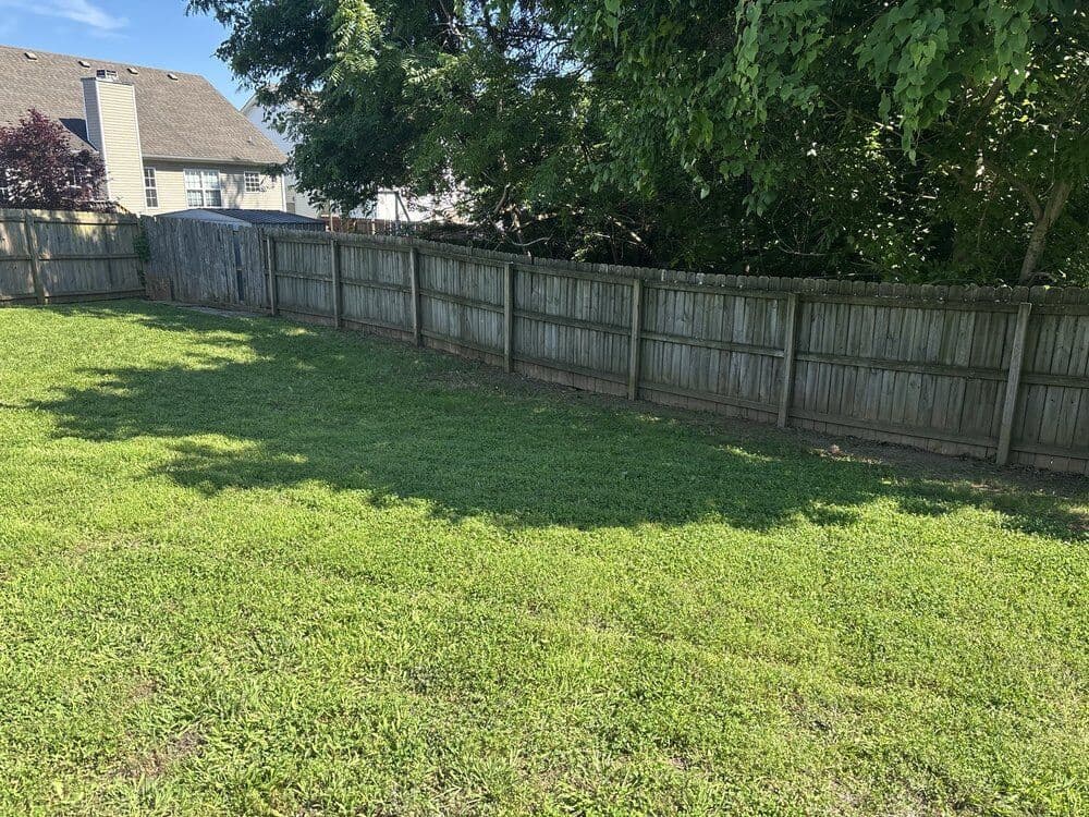 Fence line clean up and tree branches trimmed