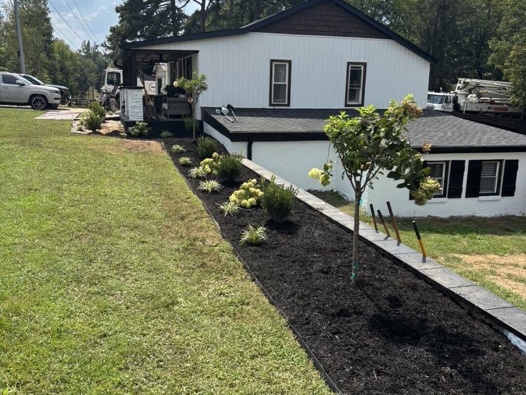 New bed and tree along the side yard